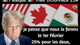 Trump signs the EO to apply 25% tariffs on Canada/ Mexico starting on Feb, 1st 2025 (vostfr)