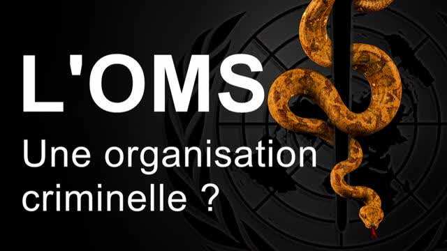 L'OMS : une organisation criminelle ? La piste criminelle dans la Constitution de l'OMS BD_49th.p34