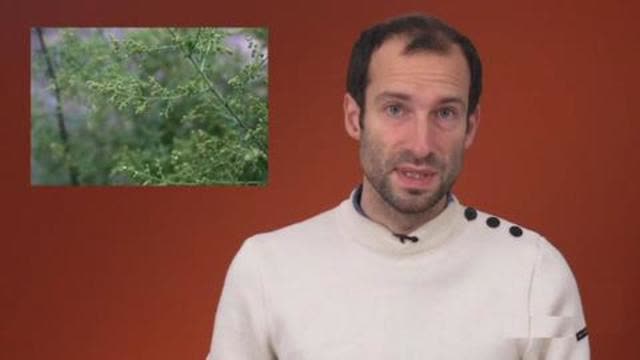 Covid : solutions accessibles et efficaces