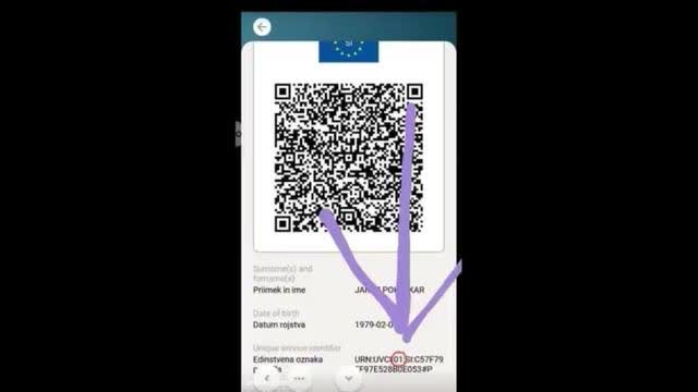 30% of population getting "vaccine" placebo - vera kanalec (slovenian / english subs)