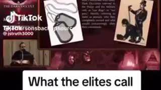 WHAT THE PARASITES CALL THE POLICE AND MILITARY | ILLUMINATI