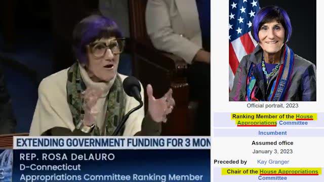 Rosa Delauro these democrat calling "President Musk" is a deliberate effort to sow division