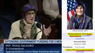 Rosa Delauro these democrat calling "President Musk" is a deliberate effort to sow division