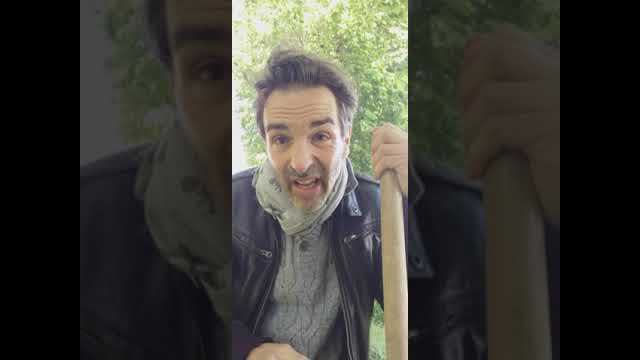 SpÃ©cialistes, gremlins et autres vampires.