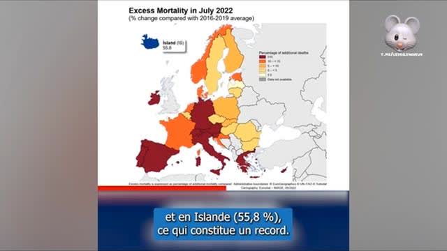 Mislav Kolakušić Surmortalité en Europe, on converge vers la cause des injections?