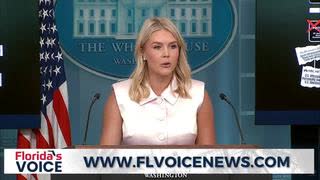 Karoline Leavitt demands everyone who won a Pulitzer for pushing the Russia hoax have their away