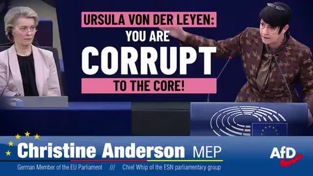 MEP Christine Anderson : Ursula Von Der Leyen you are corrupt to the core (vosten)