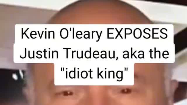 Kevin O'Leary to the idiot king Trudeau: step aside, call an election and move forward