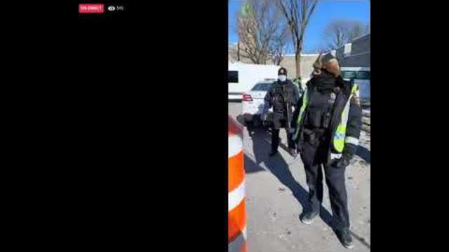 Jo l'indigo vs les cochons !