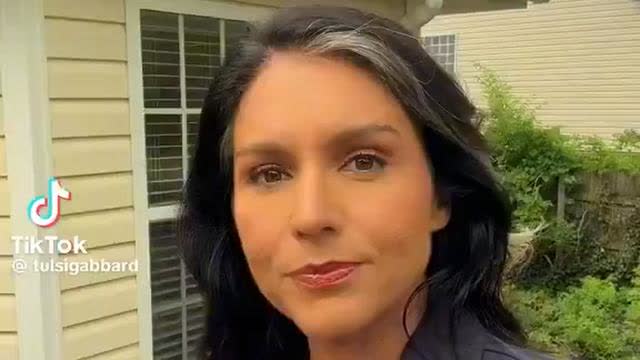 Tulsi Gabbard is on terget : Zelensky is a globalists dictator