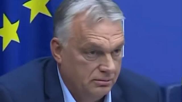 Hungarian Prime Minister Viktor Orban on his national interest first