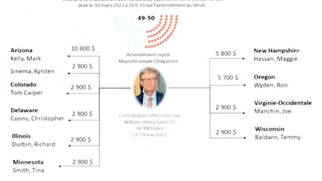 francesoir interview Patrick Jaulent - Les donations de Bill Gates