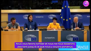 “We will bring you down” - Christine Anderson (vostfr)