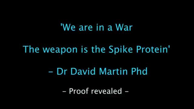 The Weapon Is The Spike Protein - David Martin Phd Cites The Bullet In The Jab