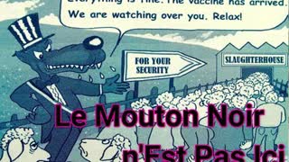 Je Suis Dans la Joie! Ma Fille Est un Mouton Noir ...