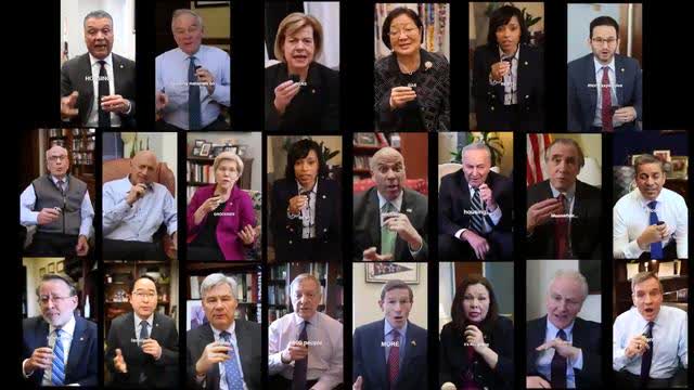 22 Democrat Senators Exposes using Mockingbird scripts attacking Trump and Elon Musk