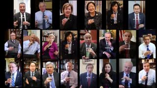 22 Democrat Senators Exposes using Mockingbird scripts attacking Trump and Elon Musk