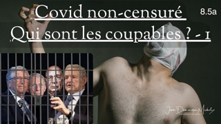 8.5a Covid non-censuré : qui sont les coupables ?