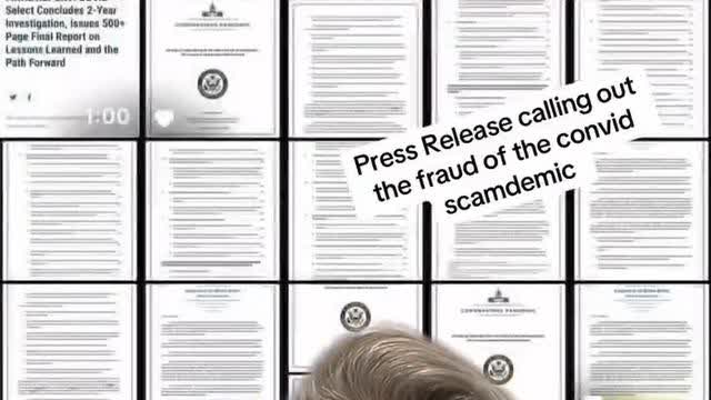 US COVID-19 PANDEMIC REPORT The Lessons Learned and a Path Forward (declassified version)