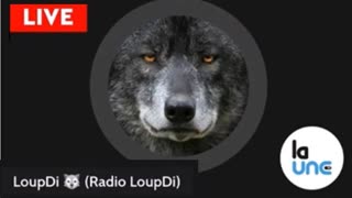 Analyse du plan mondialiste trÃ¨s articulÃ©e par Radio LoupDi