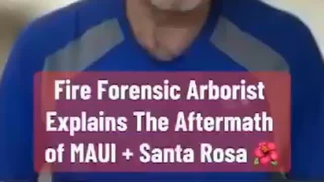 These are not natural fires, but the result of the use of direct energy weapons