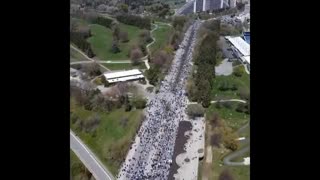 QuÃ©bec debout 1er mai Ã  MontrÃ©al