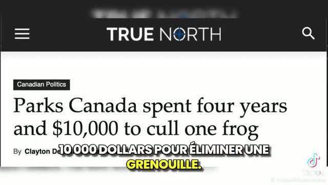 Il faut absolument un DOGE au Canada, vos taxes partent en confetilles