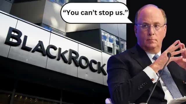 BlackRock is going down as 11 states declare WAR!”