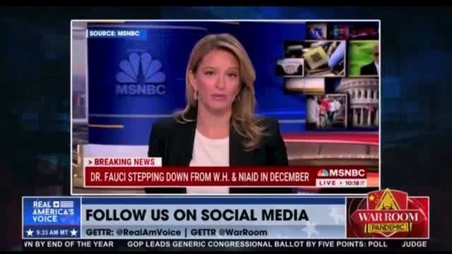 Steve Bannon Celebrates News Of Fauci Stepping Down