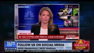 Steve Bannon Celebrates News Of Fauci Stepping Down