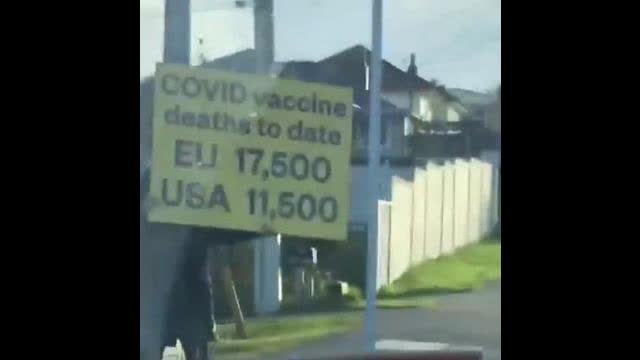 activism in New Zealand