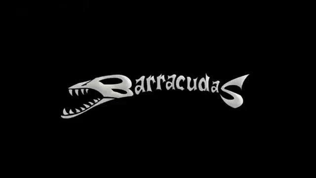 Zeichentrickfilm von Barracudas zum Thema Ukraine
