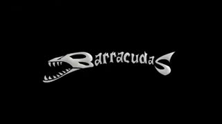 Zeichentrickfilm von Barracudas zum Thema Ukraine