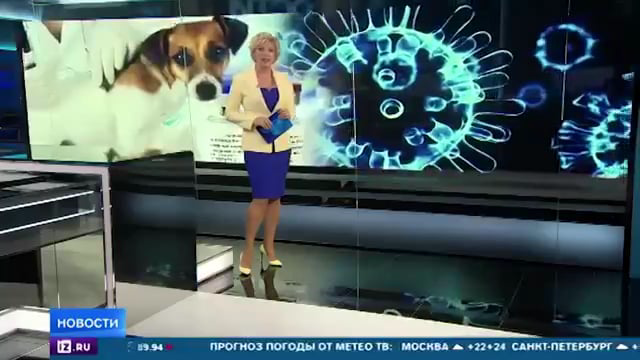 Goyim Morons Torture Pets with Carnivac-Cov Jew Vaccine