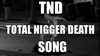 TND Total Nigger Death Music Video Song