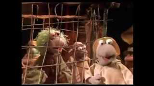 What a funny world it is