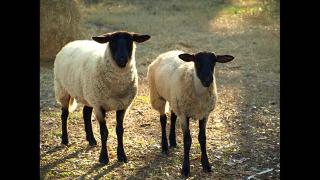 Does God love everyone? No