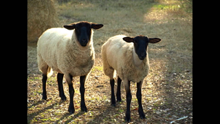 Does God love everyone? No