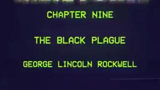 George Lincoln Rockwell: The Black Plague excerpt of "White Power" Chapter 9