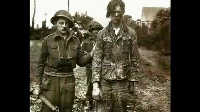 Other Losses: Germany Under Allied Occupation (Documentary)