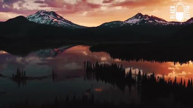 "The Land of My Ancestors" by Devon Stack / Blackpilled