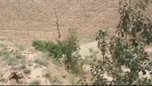 Israel Targets War Vets