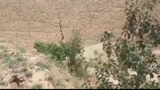 Israel Targets War Vets