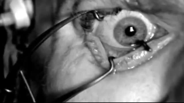 How Cognitive Dissonance Shapes White Liberal Attitudes