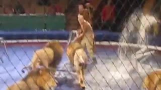 When do we, like a caged animal, Retaliate against our Oppressors ???... ?.. ?✡️?