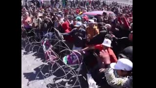 loliver fagthony shitskins gettin bussed in