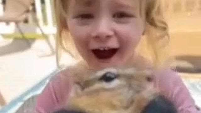 SPOT THE DIFFERANCE IN BEHAVIOUR