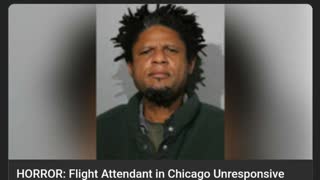 Shipping more in daily.