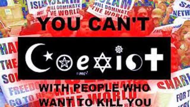 We'll lose it all to 3rd world low iq invaders.