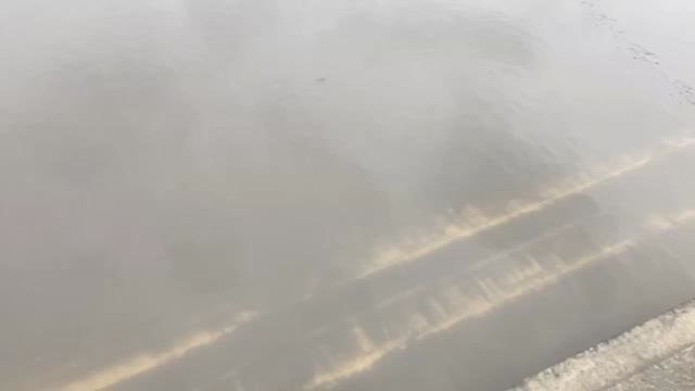 Climate Crisis Solved In Three Minutes